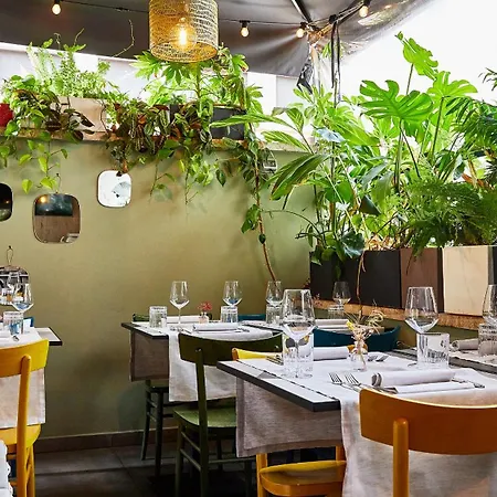 Apollo Boutique Hotel