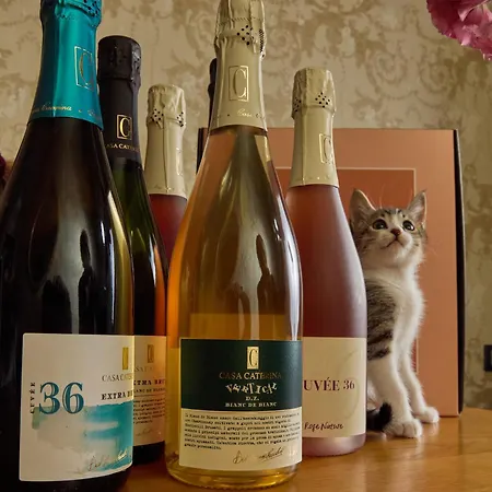 Apollo Boutique 4* Rome