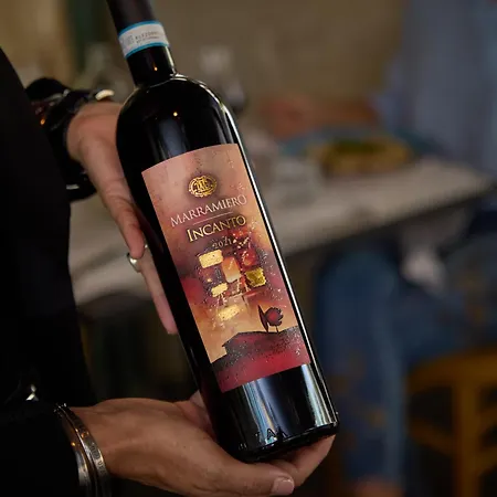 Apollo Boutique Hotel