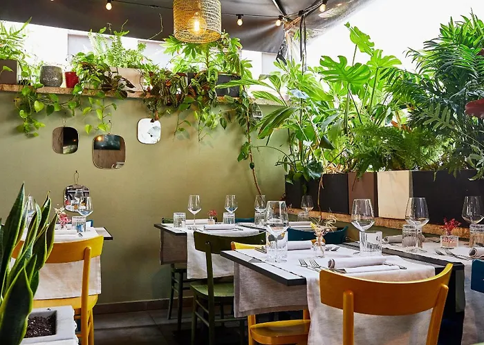 Apollo Boutique Hotel