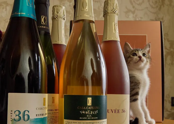 Apollo Boutique 4* Řím